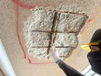 【撤去】軒天井